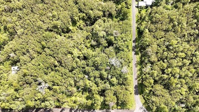 Lot #1 - Corner Lot - Eden Roc (Punawai St., 26th St.) This is - photo 3