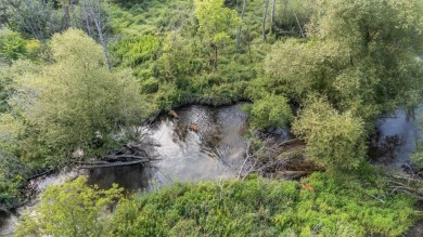 Lake Lot For Sale in Pine River, Wisconsin