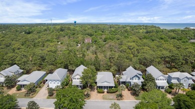 This 3 bed / 2 bath Florida Cottage style home in the lush and - photo 39