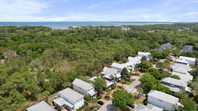 This 3 bed / 2 bath Florida Cottage style home in the lush and - photo 40