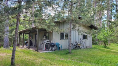 This property is a must see! 198.7 private acres surrounded by - Lake Acreage For Sale in Buyck, Minnesota