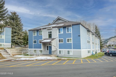 Nottingham Lake Condo For Sale in Avon Colorado