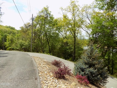 Experience Lakeside Luxury on Cherokee Lake. Discover your own - photo 13