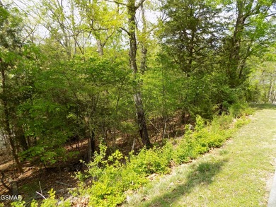 Experience Lakeside Luxury on Cherokee Lake. Discover your own - photo 15