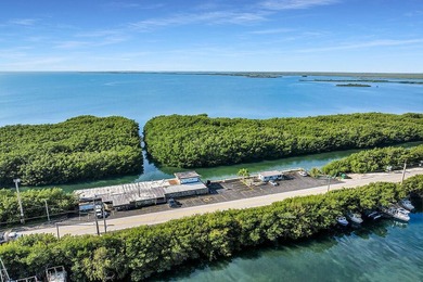 Once-in-a-Lifetime Opportunity: Own the Iconic Alabama Jacks in - photo 5