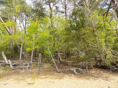 Experience Lakeside Luxury on Cherokee Lake. Discover your own - photo 16