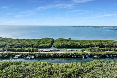 Once-in-a-Lifetime Opportunity: Own the Iconic Alabama Jacks in - photo 6