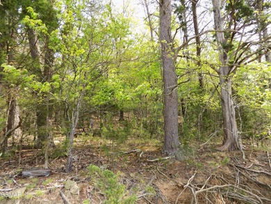 Experience Lakeside Luxury on Cherokee Lake. Discover your own - photo 17