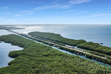 Once-in-a-Lifetime Opportunity: Own the Iconic Alabama Jacks in - photo 7