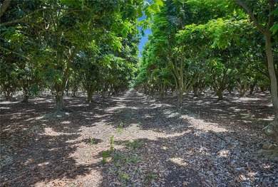 Exceptional opportunity to own a turnkey 29-acre - photo 18