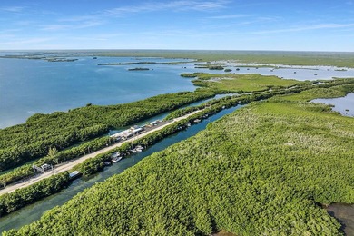 Once-in-a-Lifetime Opportunity: Own the Iconic Alabama Jacks in - photo 9