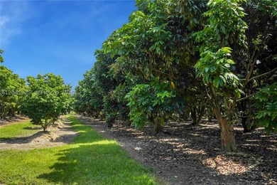 Exceptional opportunity to own a turnkey 29-acre - photo 19