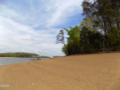 Experience Lakeside Luxury on Cherokee Lake. Discover your own - photo 20