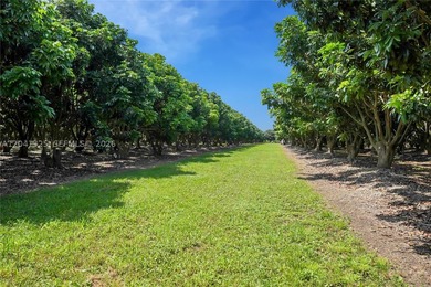 Exceptional opportunity to own a turnkey 29-acre - photo 20