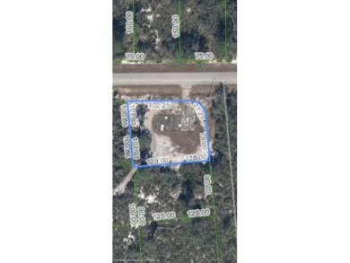 Lake Lot For Sale in Lake Placid, Florida