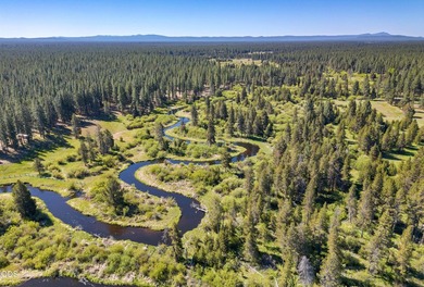 Once in a lifetime opportunity to own a riverfront paradise - photo 5