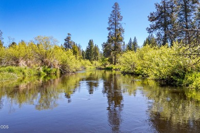 Once in a lifetime opportunity to own a riverfront paradise - photo 8
