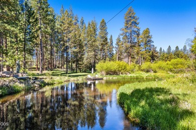 Once in a lifetime opportunity to own a riverfront paradise - photo 10