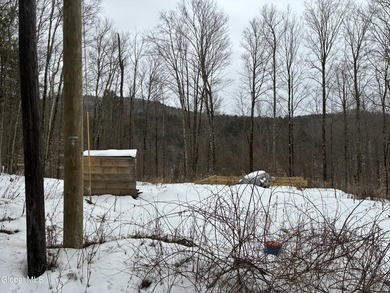 (private lake, pond, coastal) Lot For Sale in Petersburgh New York