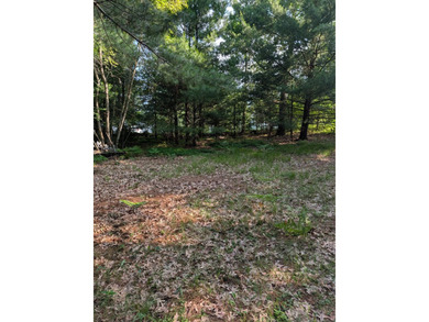 3 bedroom 1 bath home on 4 lots with 2.5 car attached garage and - photo 31