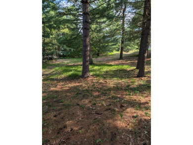 3 bedroom 1 bath home on 4 lots with 2.5 car attached garage and - photo 33