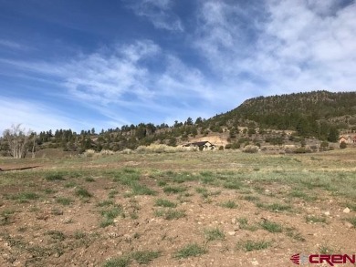 South Fork Rio Grande River Lot For Sale in South Fork Colorado