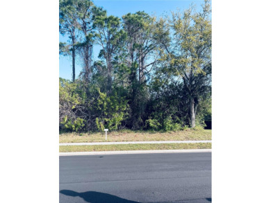 (private lake, pond, coastal) Lot For Sale in Palm Coast Florida