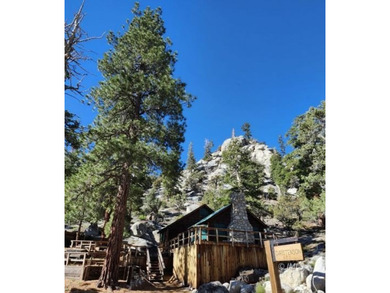 Rare opportunity to own a Forest Service recreational residence - photo 2
