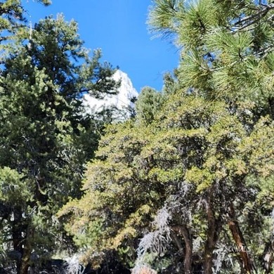 Rare opportunity to own a Forest Service recreational residence - photo 3
