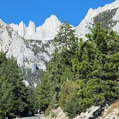 Rare opportunity to own a Forest Service recreational residence - photo 4