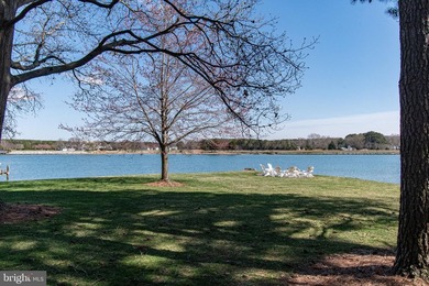 Experience refined waterfront living in this stunning - photo 5