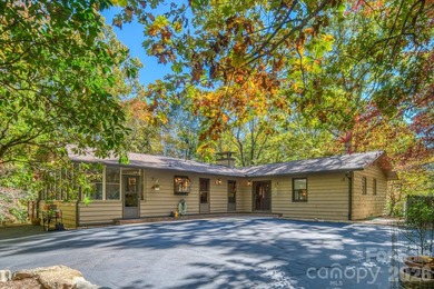 Welcome to a beautifully maintained Connestee Falls home - photo 3