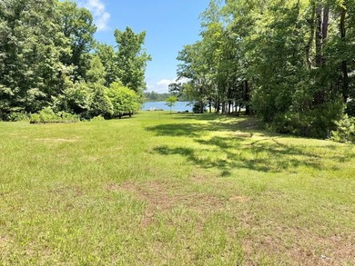 Experience the beauty and tranquility of lakefront living on - photo 8