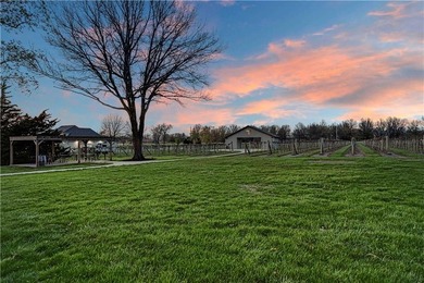 Picturesque 14.40-acre serene vineyard setting with endless - photo 4