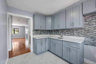 Gut Renovated A to Z ,beautiful 2 family bricks house in the - photo 6