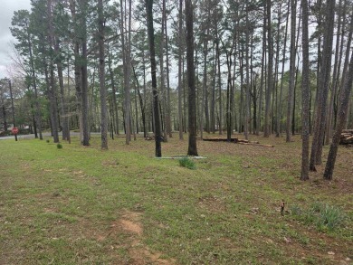 Lake Lot For Sale in Shirley, Arkansas