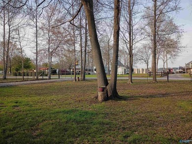 Enjoy a perfect retreat on this well maintained, fully fenced - photo 3