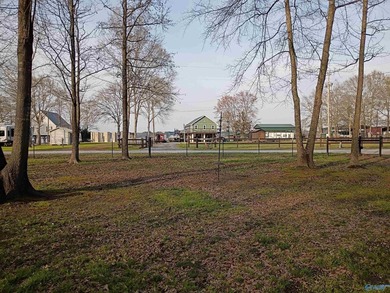 Enjoy a perfect retreat on this well maintained, fully fenced - photo 4