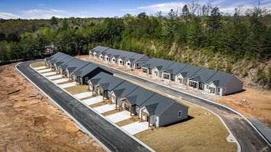 Toccoa River - Fannin County Townhome/Townhouse For Sale in Blue Ridge Georgia