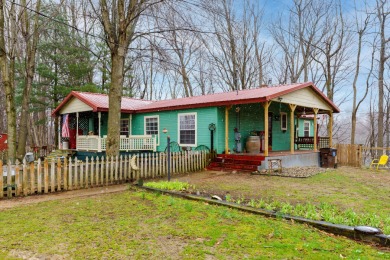 Sheffer Lake Home For Sale in Allegan Michigan