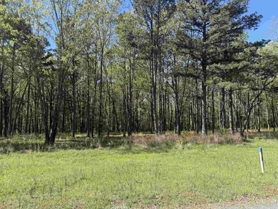 Build your dream home on this beautiful lot nestled in a new - photo 3