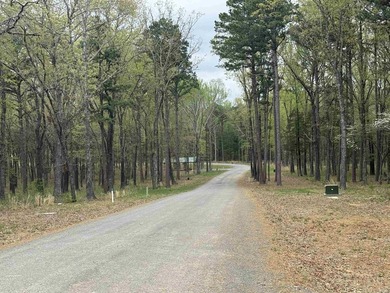 Build your dream home on this beautiful lot nestled in a new - photo 4
