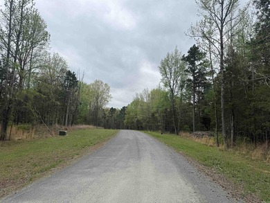 Build your dream home on this beautiful lot nestled in a new - photo 5