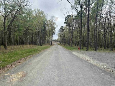 Build your dream home on this beautiful lot nestled in a new - photo 6