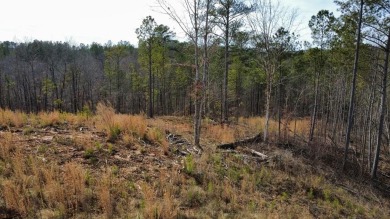 Lake Acreage For Sale in Talking Rock, Georgia