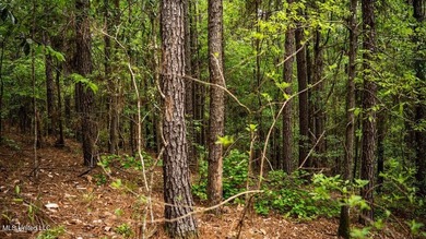 (private lake, pond, creek) Acreage For Sale in Crosby Mississippi