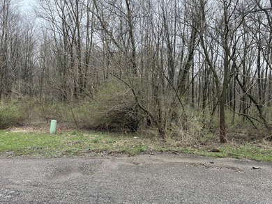 Build your dream home Nestled in the woods on a cul-de-sac with - photo 1