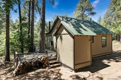 Fully remodeled mountain cabin nestled in the beautiful - photo 3