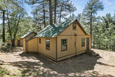 Fully remodeled mountain cabin nestled in the beautiful - photo 8