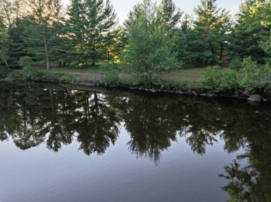 If you have been trying to find the perfect riverfront property - photo 12
